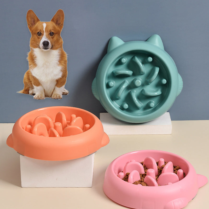 PawLife Slow Feeder Bowl