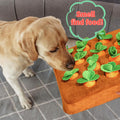 PawLife Snuffle Mat